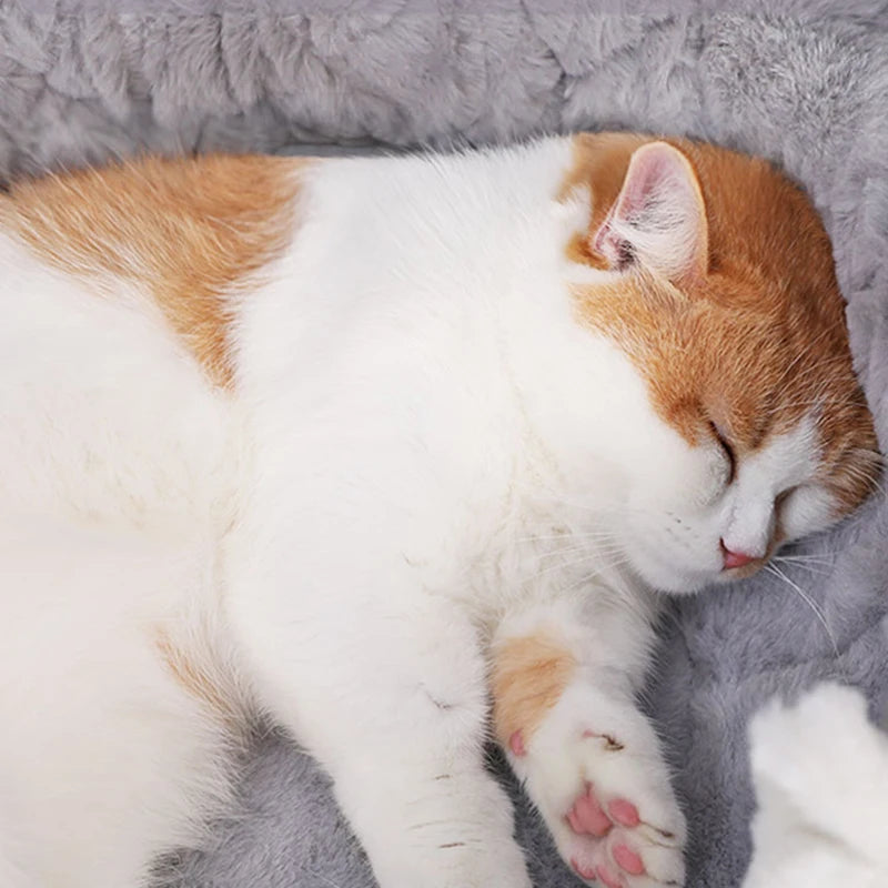 Cama para Cães e Gato mais conforto para seu Pet de estimação.